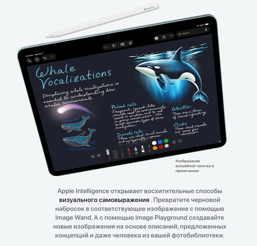 Ipad-2026