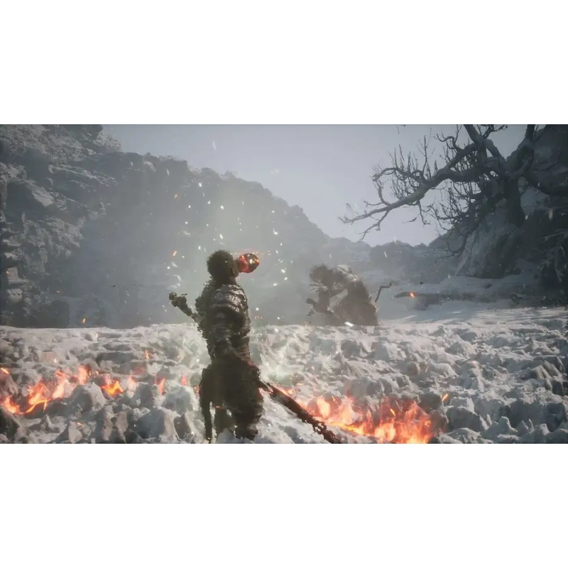 Цифровая версия игры Black Myth WuKong для Sony PlayStation 5, русские субтитры — изображение 4